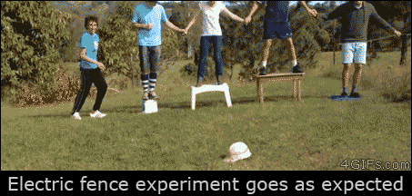 Eksperyment