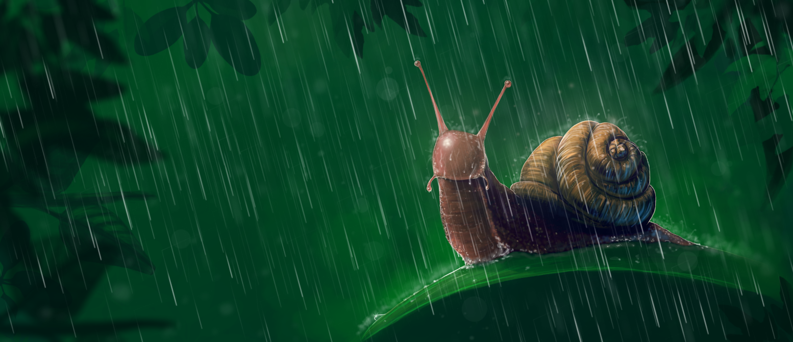 Snail in a rain - ostateczna wersja