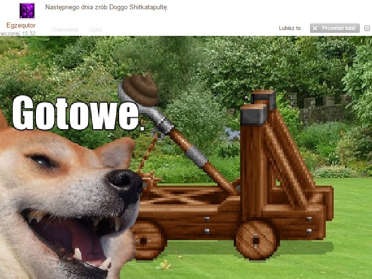 Doggo VS właściciel trawnika