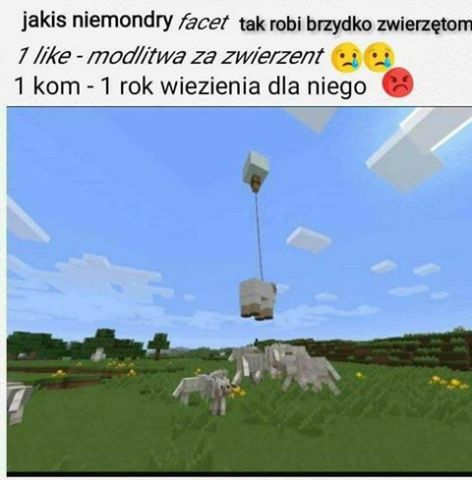 MEME MEME