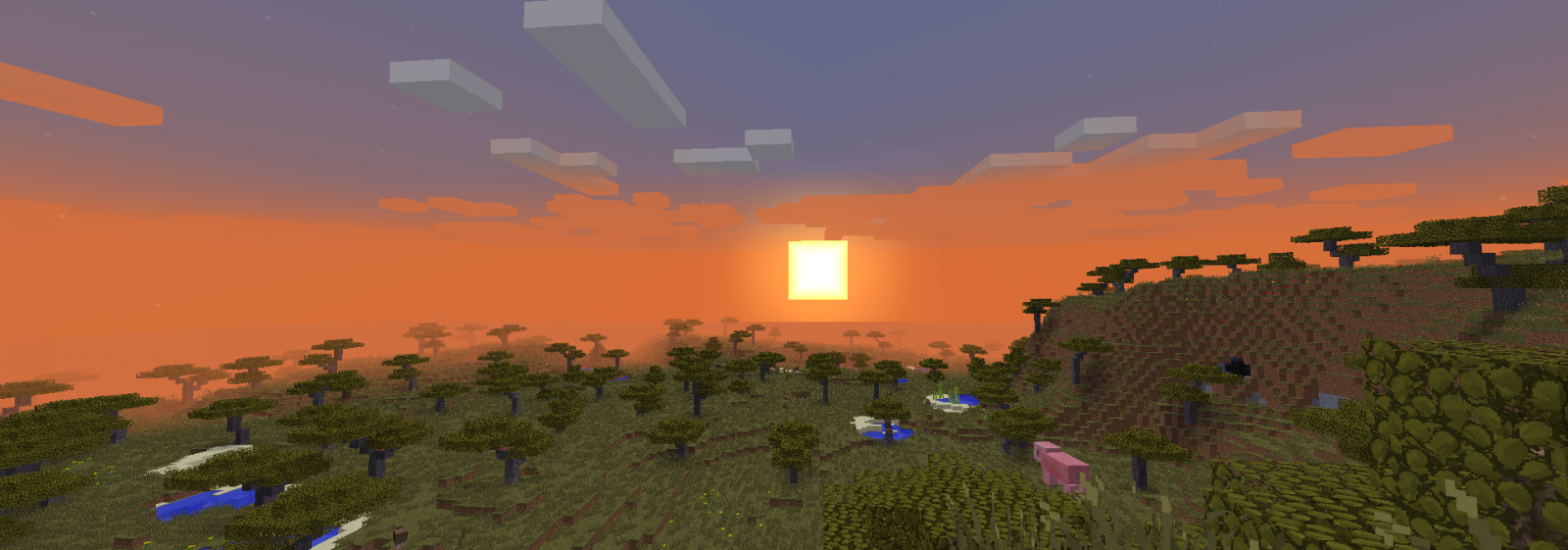 Zachód słońca nad sawanną :)